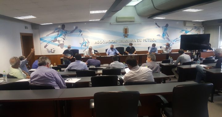 Sin grietas ni discordia en AUF, el ejecutivo logró el objetivo para las ligas profesionales de AUF