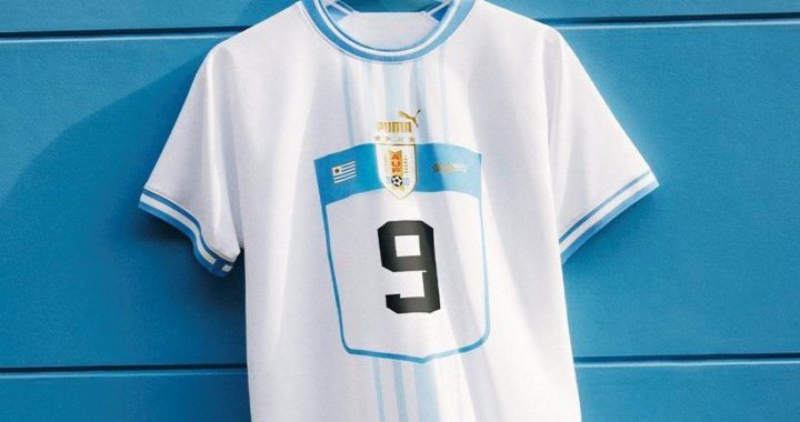 La nueva piel celeste